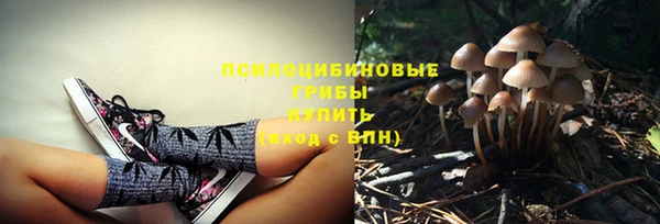 ГАЛЛЮЦИНОГЕННЫЕ ГРИБЫ Володарск
