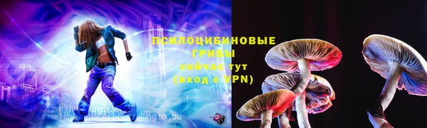ГАЛЛЮЦИНОГЕННЫЕ ГРИБЫ Володарск