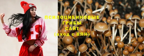 эйфоретик Волоколамск