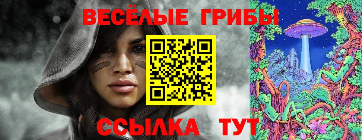 Псилоцибиновые грибы Cubensis  Вход с VPN  Воткинск 
