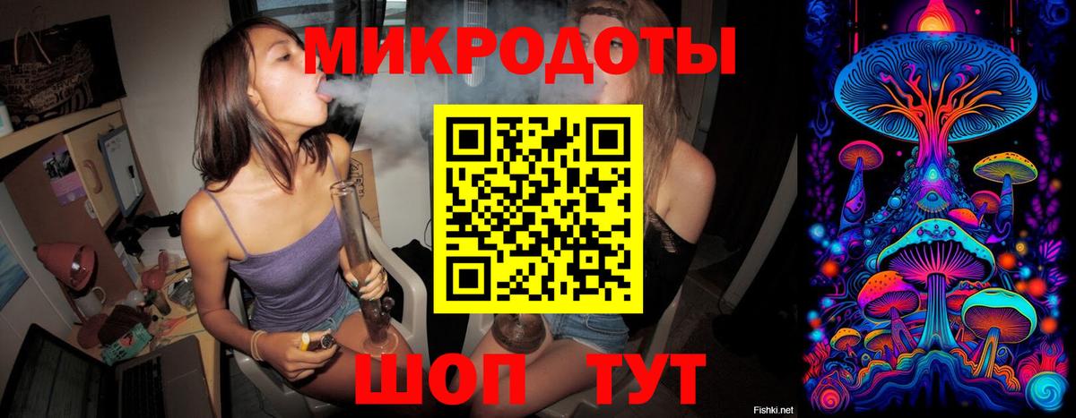 Псилоцибиновые грибы Psilocybine cubensis Воткинск